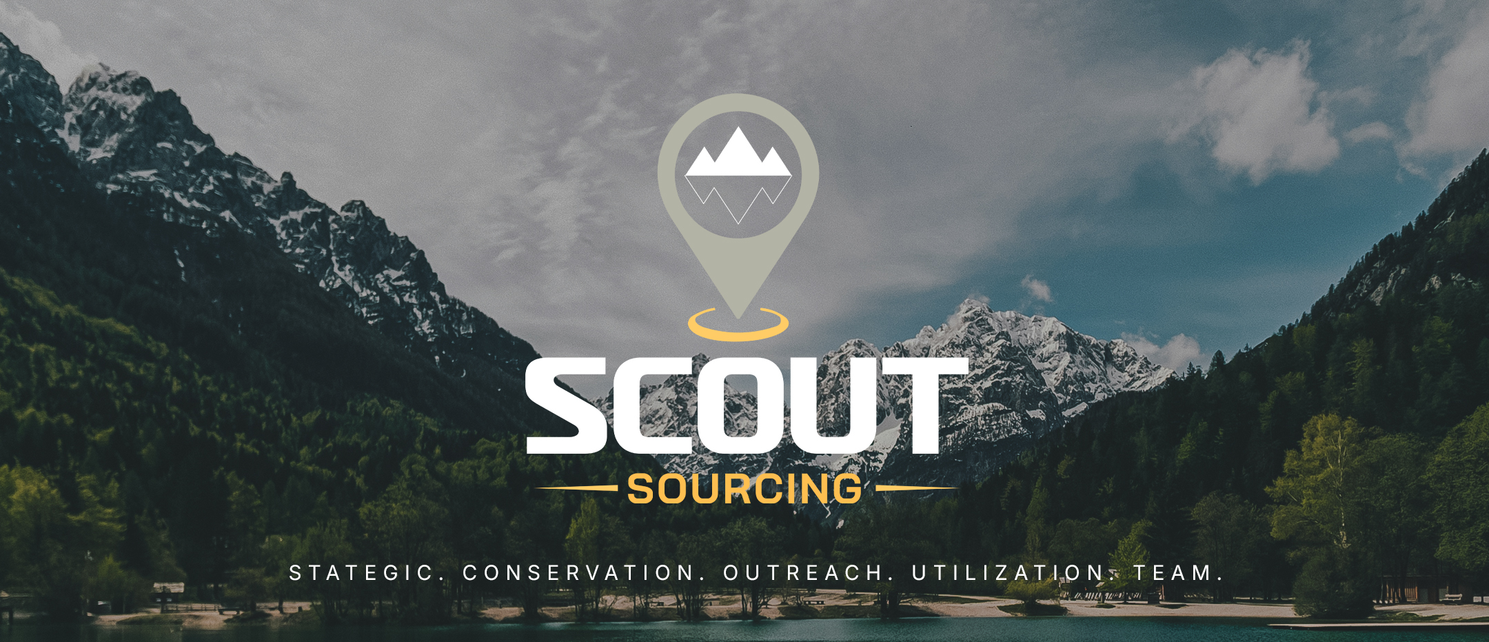 Scout: Strategically Conserving Resources, Across Industries, Utilizing Technology